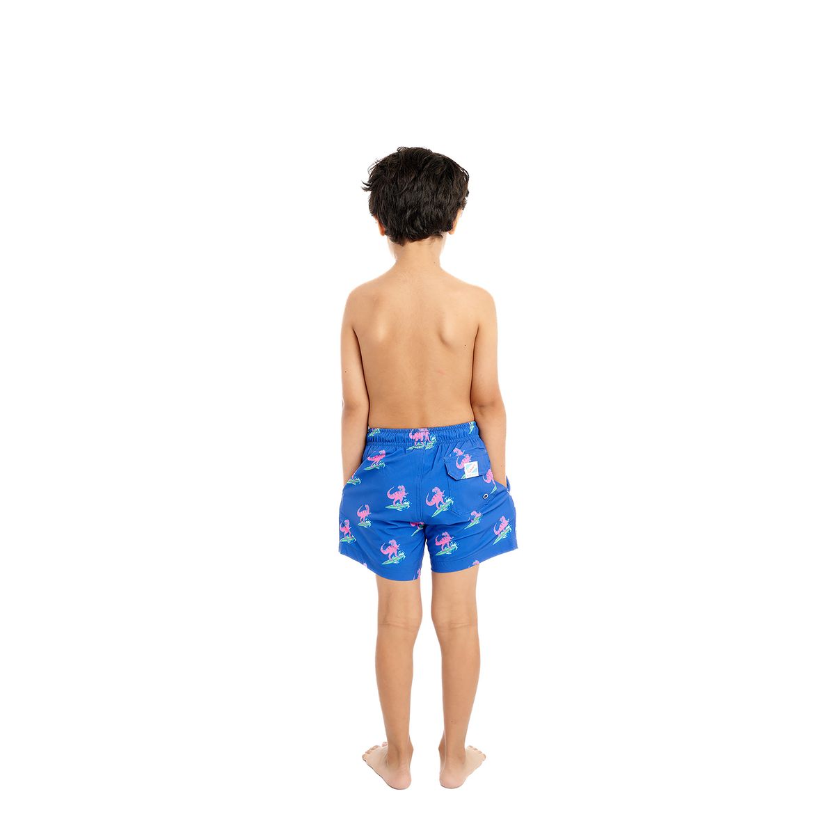 BOYS JURASSIC BEACH SWIM TRUNKS
