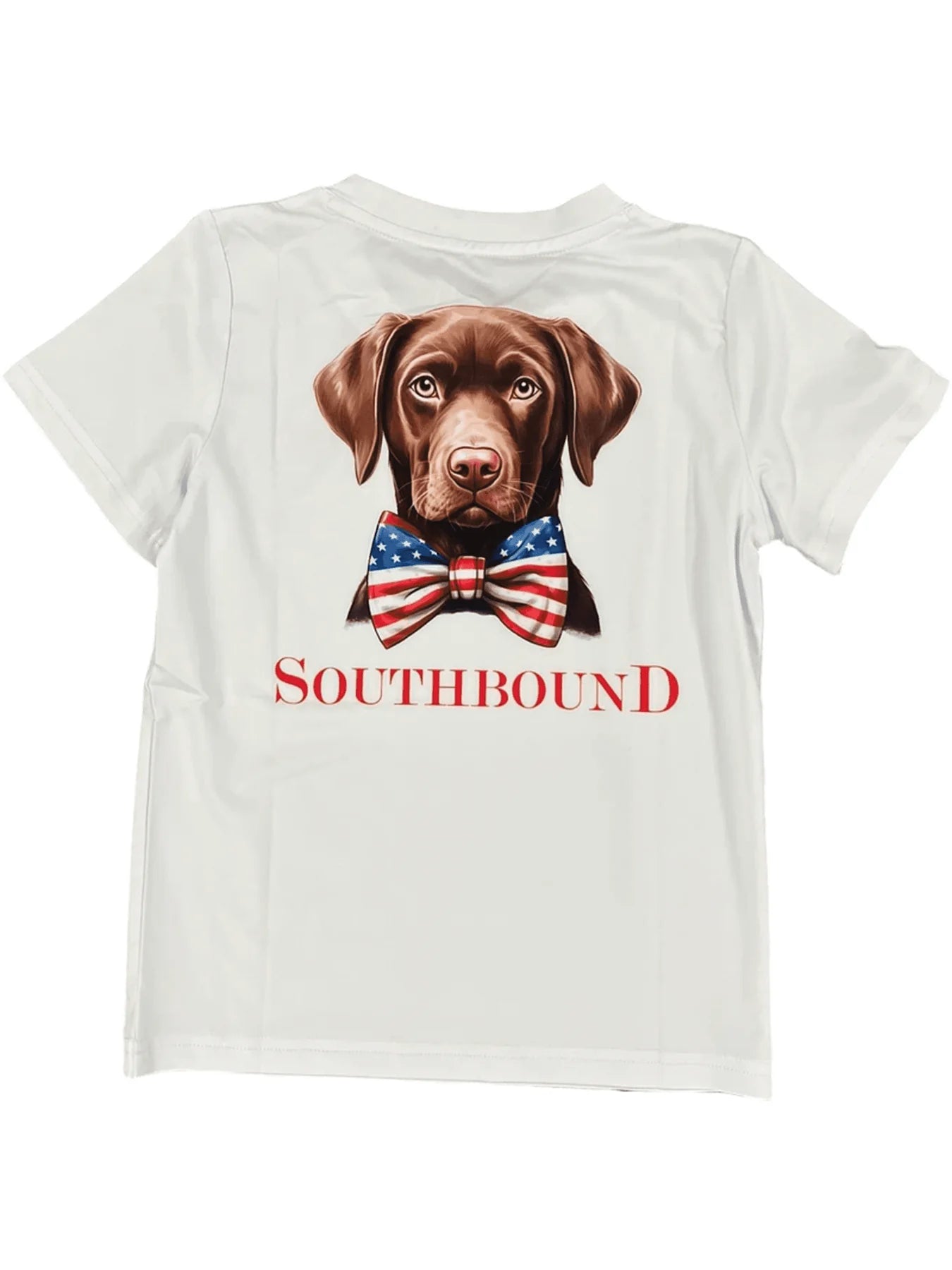 PATRIOTIC LAB TEE